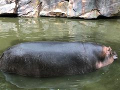 -宁波野生动物园