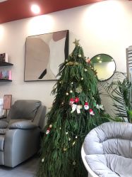 -茉柠Morning Nails