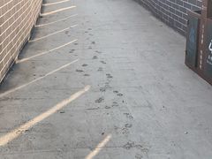 -抱犊寨风景区