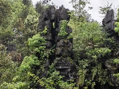 -梭布垭石林景区