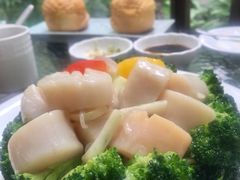 鲜带子西兰花-申粤轩酒楼·三十年粤菜经典(丁香花园店)