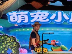 -海合安成都极地海洋公园