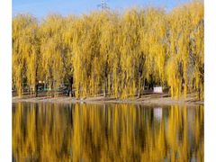 -东坝千亩湖公园