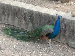 -南京金牛湖风景区
