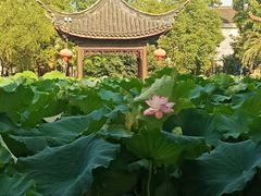 -丝绸小镇荻港古村