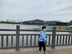 -上海长兴岛郊野公园