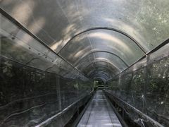 -浙北大峡谷