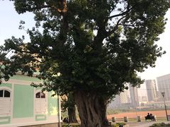 -龙环葡韵住宅式博物馆