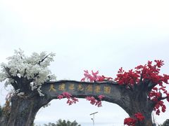 -天适樱花悠乐园