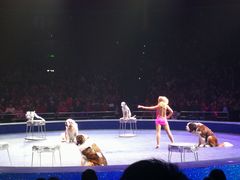 -珠海横琴长隆《卡卡虎奇遇记》