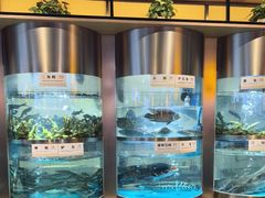 -老船舫·现做活鲜鱼馆(东郊记忆店)