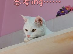 -乐宠动物医院