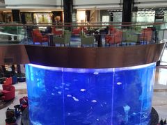 -OPEN開全日自助餐厅·西餐·海鲜(佛山希尔顿酒店)