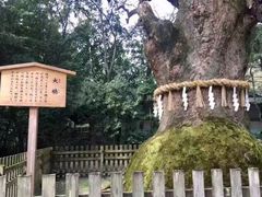 -热田神宫