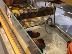 -十八字金银饰·拼豆·开蚌手工体验团建(君太百货店)