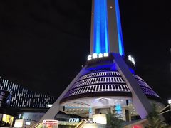 -339旋转餐厅(天府熊猫塔店)