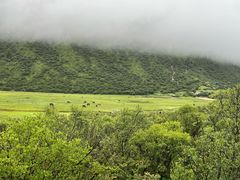 -桑吉林新派藏餐·汤锅·川菜