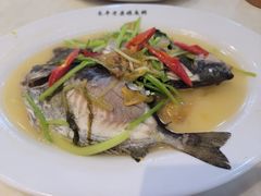 -长平老姿娘夜粥(平东一街店)