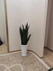 -JUVA欧华医美连锁