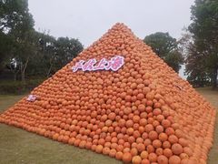 -上海月湖雕塑公园