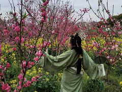 -南汇桃花村