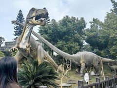 -自贡恐龙博物馆