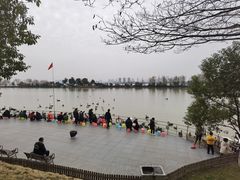 -艾溪湖湿地公园