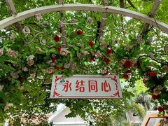 -东风公园