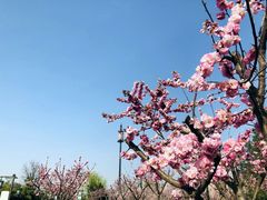 -西安汉城湖景区