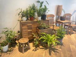 -WAVE SODA摄影工作室