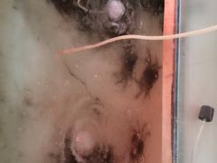 -乡乐园蟹庄·阳澄湖农家乐
