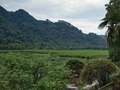 -中国茶叶博物馆(双峰馆区)
