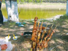 -蒲河岛湿地公园