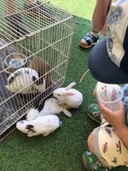 -萌宠亲子动物乐园(槐房万达店)