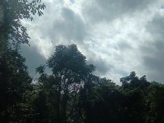 -野象谷景区