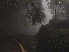 -莫干山风景区