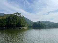 -深圳仙湖植物园