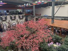 -君临七星生态酒店