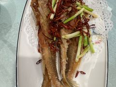 -潇湘甲鱼村(清河店)