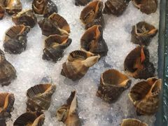 -万佳国际酒店-阳光空中西餐厅(石狮服装城店)