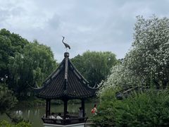 -上海醉白池公园