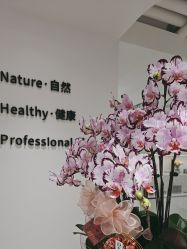 -BELLAREAL新美社