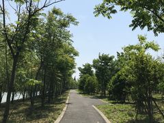 -广富林郊野公园