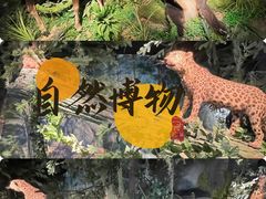 -四川大学博物馆