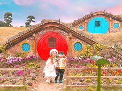 -武汉紫薇都市田园