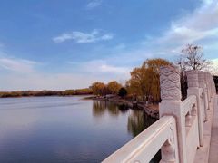 -大兴滨河森林公园