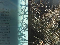 -墨尔本皇家植物园