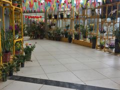 -松山湖梦幻百花洲