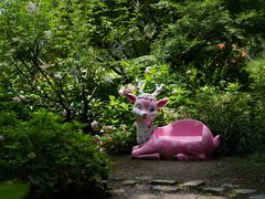 -上海共青森林公园