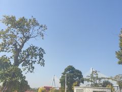 -芒洲湿地公园